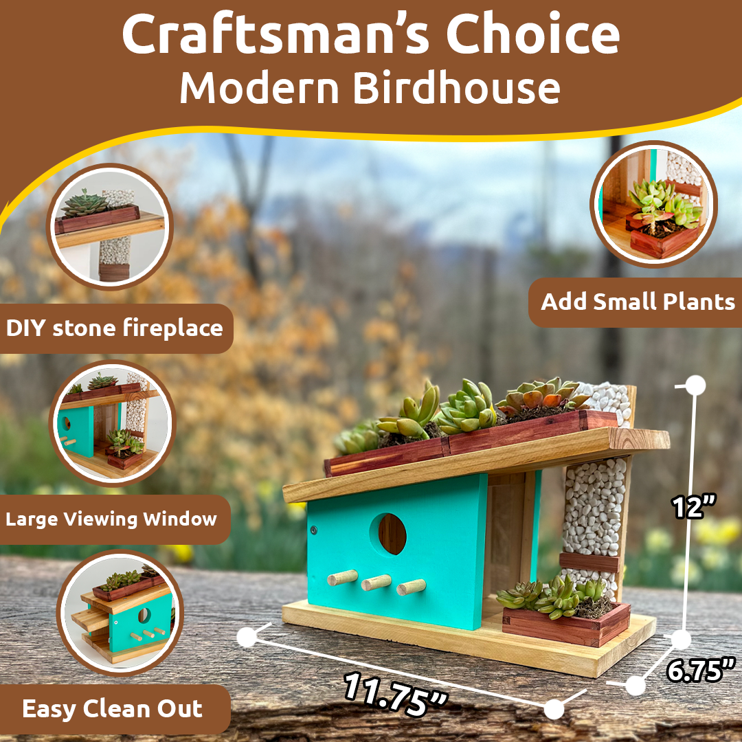 Modern Birdhouse 4 Pack MBHWK04